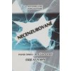 Slovensko-české, česko-slovenské NECENZUROVANÉ eseje a úvahy - Pavol Dinka, Petr Žantovský