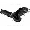 Buried In Verona - Vultures Above,Lions Bellow [CD]