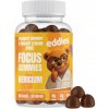 Eddies - Focus Gumídci na podporu paměti