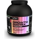 REFLEX NUTRITION Growth Matrix 1890 g