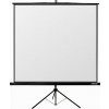 Reflecta TRIPOD Crystal 240x240cm (1:1, 131