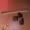 Philips Hue Ensis LED závesná lampa RGBW - 4090331P9
