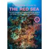 Underwater Guide to the Red Sea (Lawson Wood)(Brožovaná)