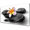 Nástenný panel Kvety kamene príroda 100x50 cm
