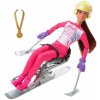 Mattel Barbie Zimné športy Paralympijská lyžiarka, HCN33 (mHCN33)
