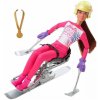 Barbie Zimné športy Paralympijská lyžiarka