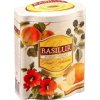 BASILUR// Fruit Indian Summer plech 100g/4601 Zelená Lekáreň