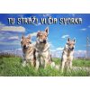 Pozorpes.sk, výstražná tabuľka (Československý vlčiak - trojica)