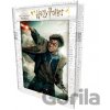 Wiky 3D PUZZLE Harry Potter 300ks