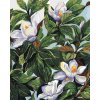 ZUTY Maľovanie podľa čísel - BIELE KVETY MAGNÓLIE A LISTY (ALEXANDRIA GILBERT) Rámovanie: vypnuté plátno na rám, Rozmer: 80x100 cm