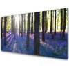 Nástenný panel Les príroda 100x50 cm