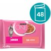 Purina ONE Junior mini filetky s lososom a mrkvou v šťave 48 x 85 g
