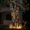 LED rozprávkové svetlá Twinkly CCT, 250 fl. 20 m čierna - TWS250GOP-BEU