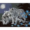 ZUTY Maľovanie podľa čísel - BIELY TIGER, MODRÉ KVETY A SPLN (D. RUSTY RUST) Rámovanie: bez rámu a bez vypnutia plátna, Rozmer: 40x50 cm