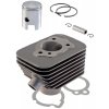 RMS 100081200