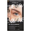 L'Oréal Paris semi-permanentná farba na obočie Brow Color 6.0 Light Brunette