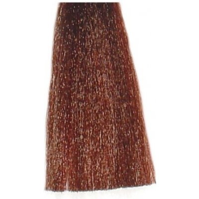 Bes Hi-Fi Hair Color 5-76 Dattero tabáková červená svetlá
