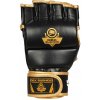 DBX Bushido E1v8 MMA