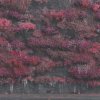 Sleep Token - Even In Arcadia [CD]