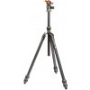 Statív 3 Legged Thing Pro 2.0 Winston & AirHed Pro, šedý (311016)
