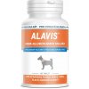 Alavis MSM + Glukosamin sulfát pre správnu funkciu šliach a kĺbov u psov 60 tbl