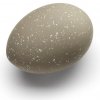 Cooee Design Veľkonočné vajíčko Deco Sand, set 2 ks – pieskové