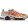 Nike Air Max Plus One Block Down Chutney