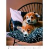 Helma nástenný Puppies / Welpen / Šteniatka / Šteniatka 2026