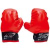 Rukavice boxerské 24x16cm