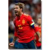 Sergio Ramos obraz futbalistu v drese Španielska / Eufória