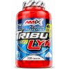 Amix TribuLyn 40 % 120 kapsúl