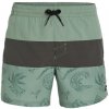 Pánske Šortky O'NEILL MIX & MATCH CALI BLOCK 15'' SWIM SHORTS 2800132-36058 – Zelená