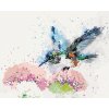 zuty Zuty - Maľovanie Podľa Čísel - Maľovaný Kolibrík A Kvety, 40X50 Cm, Plátno (8596530093602)