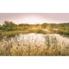 Komar Vliesová fototapeta Morning View II 400 x 250 cm