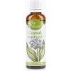 Cesnak medvedí tinktúra – kvapky 50ml