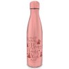 Pyramid Kovová fľaša na nápoj Disney Princess Thirsty Work 550 ml