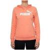 Puma Essential Logo Hoodie TR