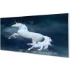 Nástenný panel Unicorn planét sky 100x50 cm