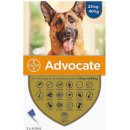 Advocate spot-on dog 25-40 kg 3 x 4 ml