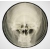 Bone Music: Soviet X-Ray Audio (Coates Stephen)