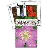 Wildflowers of the Northeast Playing Cards (Jaret C. Daniels,Stan Tekiela)(Hra)