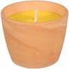 Sviečka CITRONELLA GUZMANIA 10 x 8 cm, 250 g