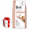 Brit gf veterinary diets dog Renal 12kg + prekvapenie pre psa ZDARMA!