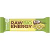 BOMBUS BIO RAW ENERGY (ovocná tyčinka) 50 G Príchuť: pomaranč+kokos