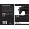 BIOMECHANICS IN HORSES