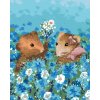 ZUTY Maľovanie podľa čísel PÁR ŠREČKOV V POLI Rámovanie vypnuté plátno na rám Rozmer 80 x 100 cm