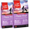 ORIJEN Puppy Large 22,8 kg (2 x 11,4 kg)