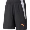 Puma teamLIGA Training Shorts 2 Jr 657668