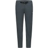 Gore Passion Pants Mens lab graphite