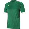 Puma TEAMCUP TRAINING JERSEY zelený 656735-05